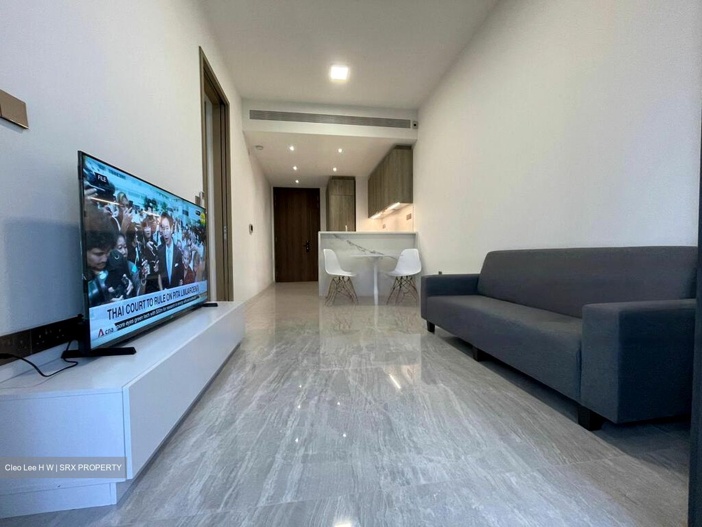 Leedon Green (D10), Condominium #461727241